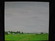 Farm With Pond